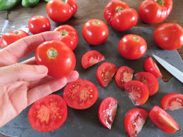 Tomate 'Bétalux'