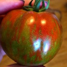 Organic 'Black Zebra' Tomato
