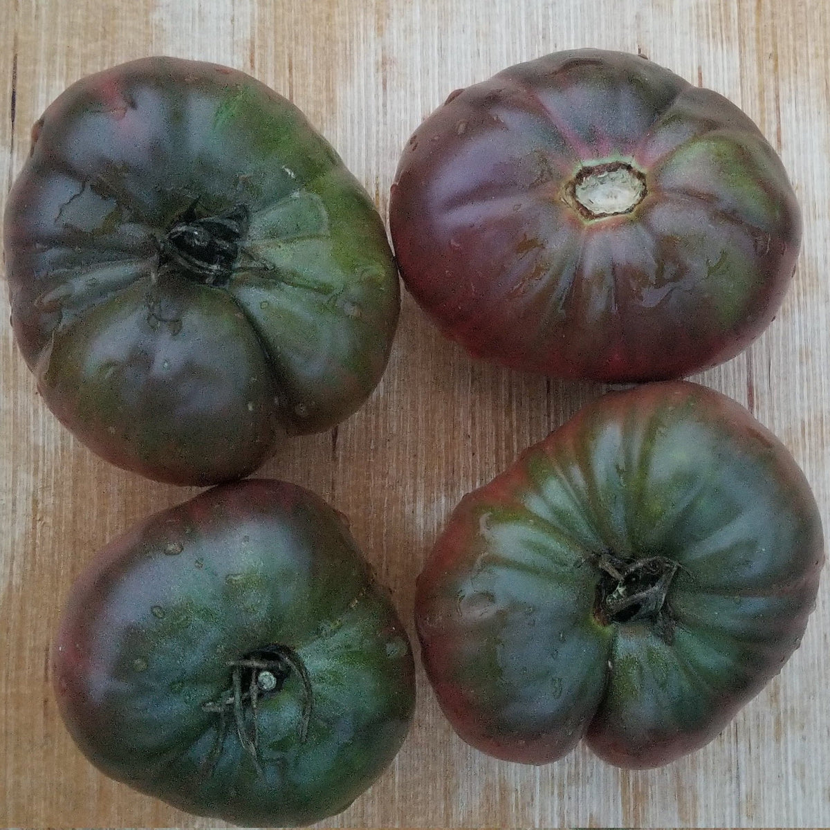 Organic 'Black Seaman' Tomato
