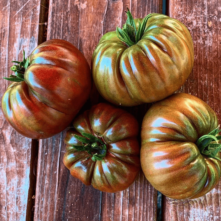 Organic 'Black from Tula' Tomato