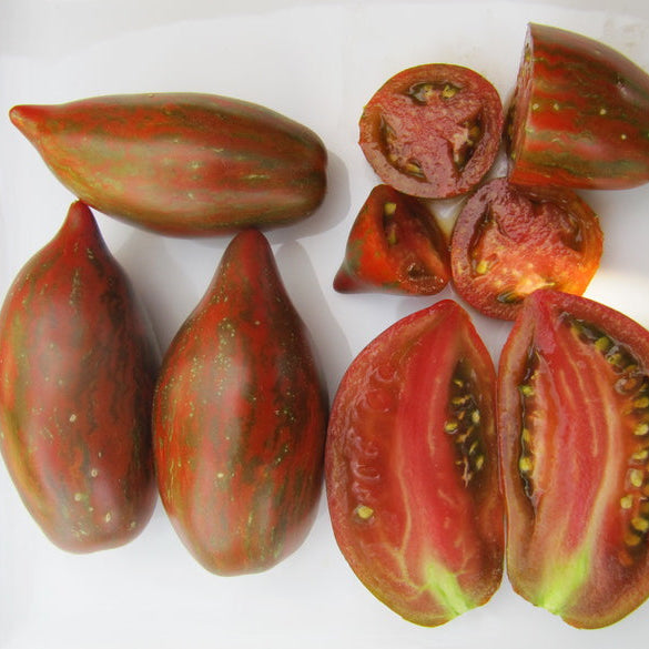 Organic 'Boar's Tooth' Tomato