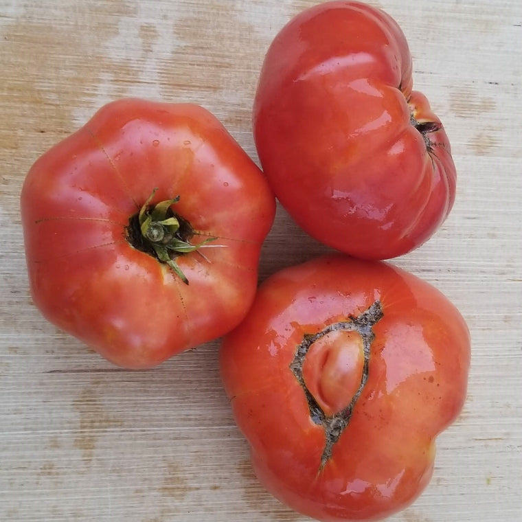 Organic 'Bonny Best' Tomato