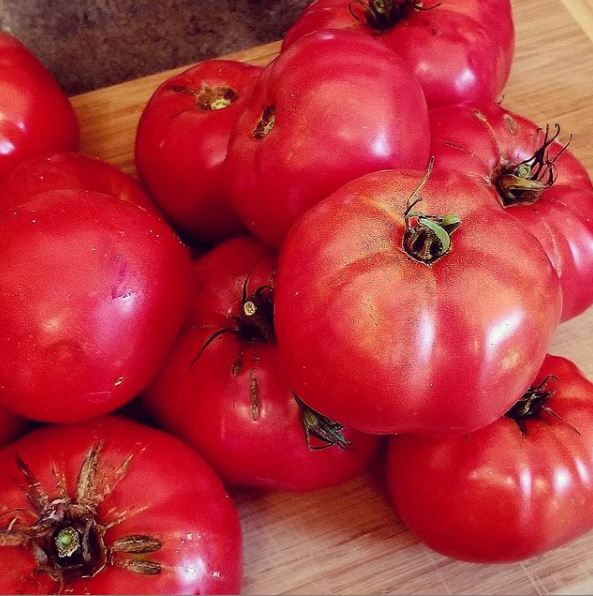 Organic 'Box Car Willie' Tomato