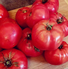 Organic 'Box Car Willie' Tomato
