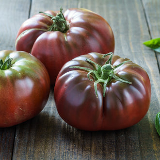 Trois grosses tomates rouge brun sont posées sur des planches de bois gris. Leurs formes aplaties présentent de larges lobes arrondis et des creux autour des sommets verts. Des reflets clairs suivent les reliefs des peaux lisses. La tomate de gauche dépasse partiellement le cadre, tandis que les veines du bois restent visibles entre les fruits et derrière eux.
