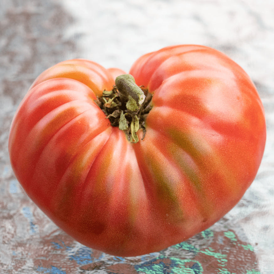 Organic 'Brandywine Red' Tomato