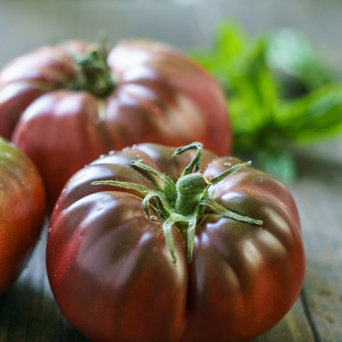 Organic ‘Brandywine Black’ tomato (<em>Solanum lycopersicum</em>)
