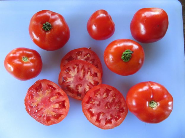 Tomate 'Carlton'