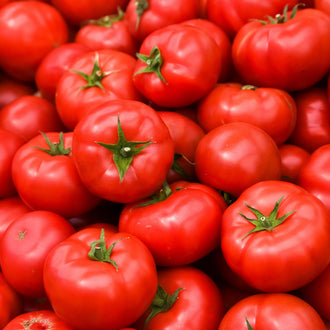 Visuel principal associé à Tomate 'Centennial Rocket', semences offertes par Cutleaf Seed. Cette image accompagne la fiche pour relier clairement le produit à son emballage ou à la culture présentée. Elle complète les renseignements de semis, de culture et de récolte, sans remplacer les indications propres au lot ni les conseils détaillés figurant sur le sachet.