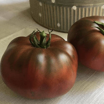 Organic 'Cherokee Carbon F1' tomato