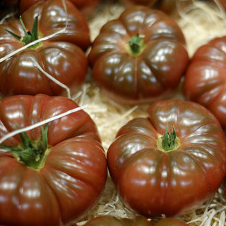 Des tomates brun rouge fortement côtelées sont regroupées sur un lit de fibres beige clair. Leurs lobes arrondis entourent des sommets verts et portent de larges reflets blancs. Une ficelle claire traverse une partie de la présentation. Les fruits se chevauchent et remplissent les côtés du cadre, avec quelques espaces où le support fibreux reste visible entre eux.