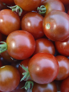 'Chocolate Brown Berry' Tomato