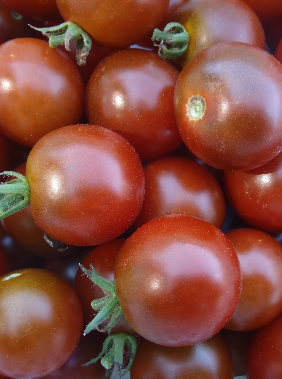 'Chocolate Brown Berry' Tomato