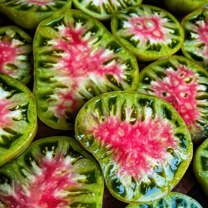 Tomate 'Copper River' bio