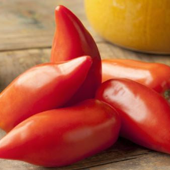 Tomate 'Cornue Des Andes' bio