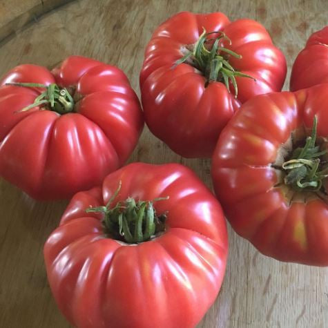 Organic 'Cosmonaut Volkov' Tomato