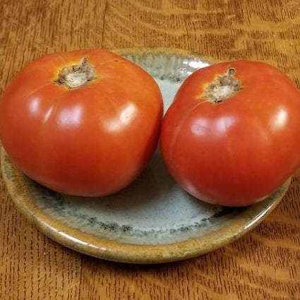 Organic 'Crimson Cushion' Tomato