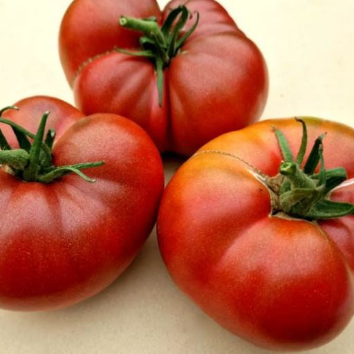 Organic 'Dwarf Wild Fred' Tomato