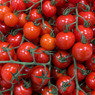Visuel principal associé à Tomate 'Farthest North', semences offertes par Cutleaf Seed. Cette image accompagne la fiche pour relier clairement le produit à son emballage ou à la culture présentée. Elle complète les renseignements de semis, de culture et de récolte, sans remplacer les indications propres au lot ni les conseils détaillés figurant sur le sachet.
