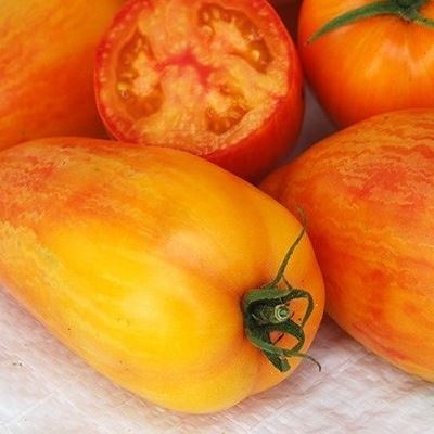 Organic 'Fire Artisan' Tomato