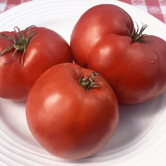 Organic 'German Red' Tomato