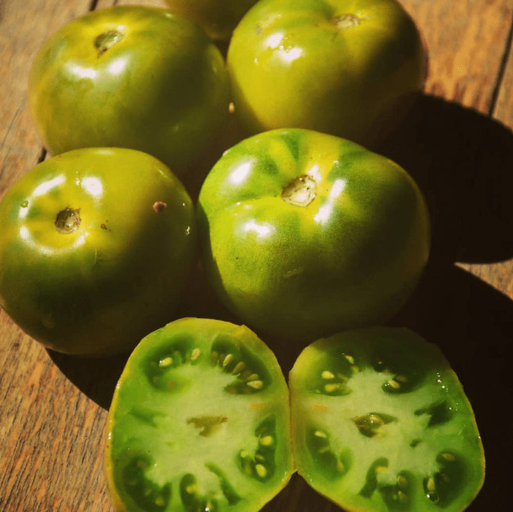 Tomate 'Green Elf' bio