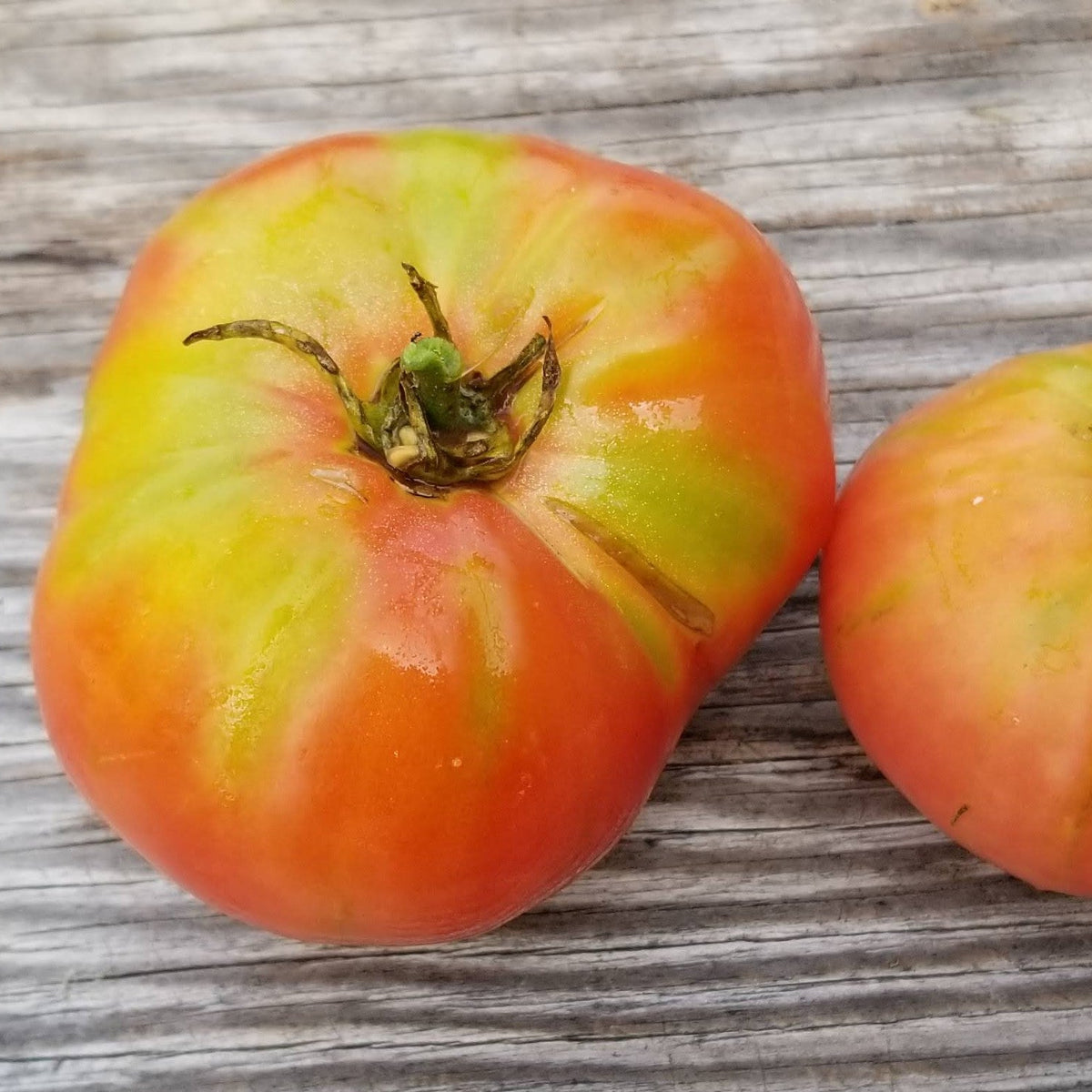 Organic 'Honey' Tomato