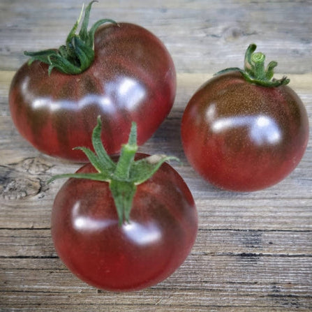 Organic 'Karma Purple' Tomato
