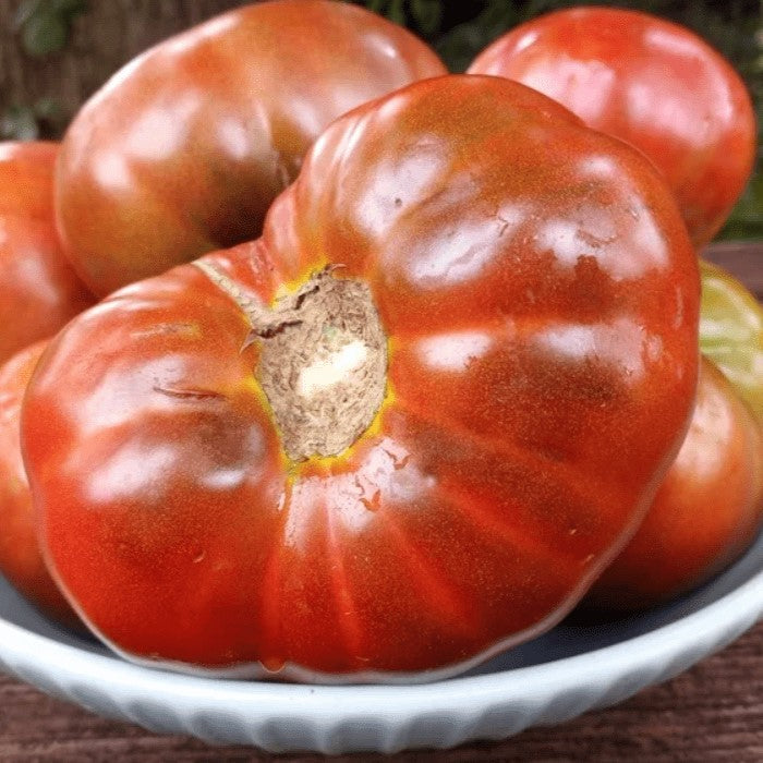 Organic 'King Aramis' Tomato