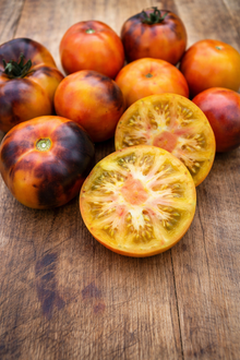 Tomato 'Lucid Gem'