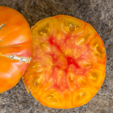 Organic 'Lucky Cross' Tomato