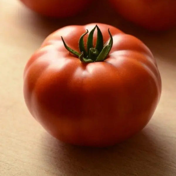 Tomato Marriage Genuwine F1 (Heirloom)