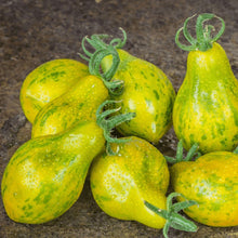 Organic 'Michael Pollan' Tomato