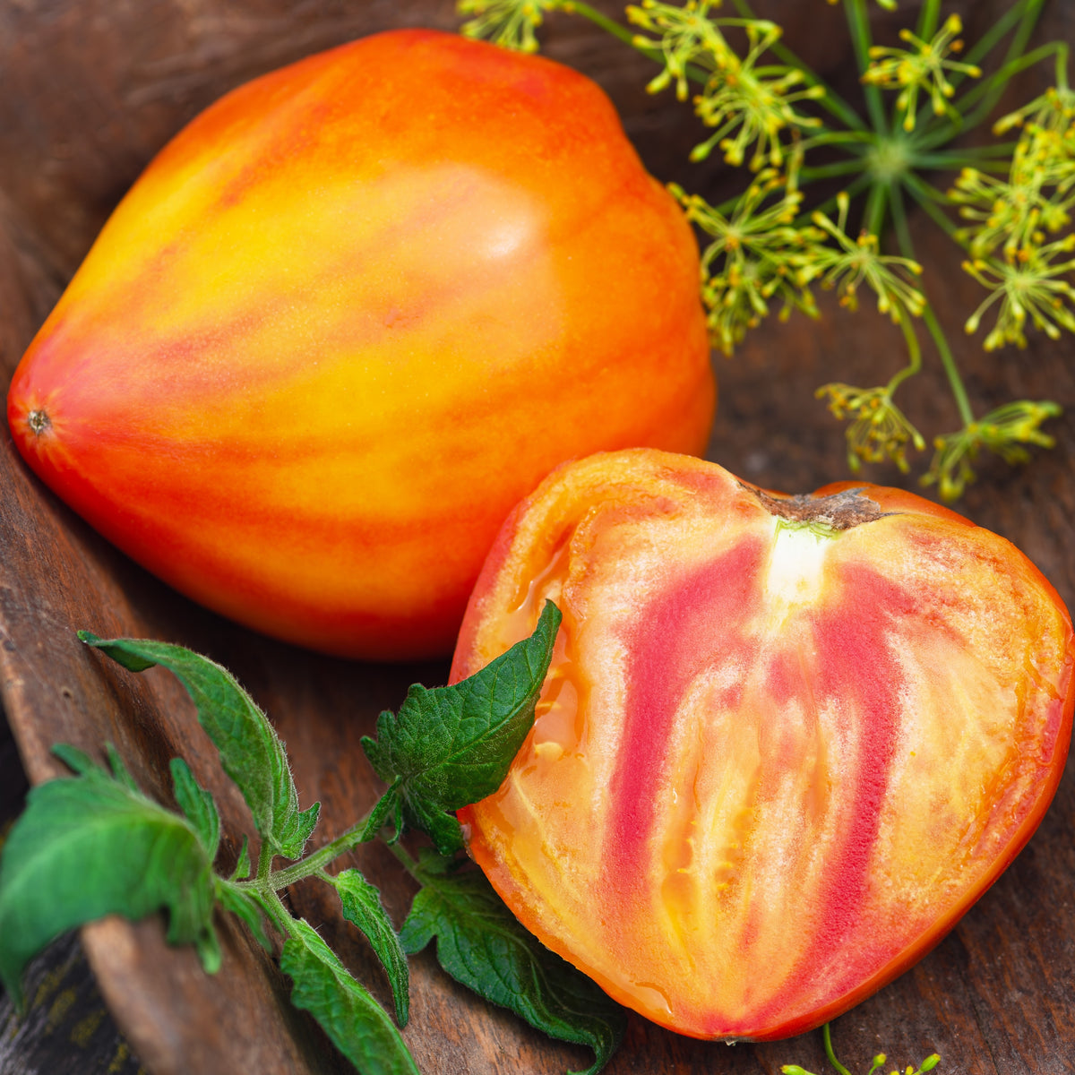 Organic 'Midnight Sun' Tomato