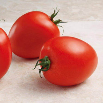 Deux tomates rouges ovales sont posées sur une surface beige claire, avec une partie d’un autre fruit visible sur le côté. Leurs peaux lisses portent de larges reflets pâles et leurs sommets verts pointus se courbent vers l’extérieur. La tomate du premier plan repose légèrement inclinée. Des ombres douces apparaissent sous les fruits, sur le support clair.