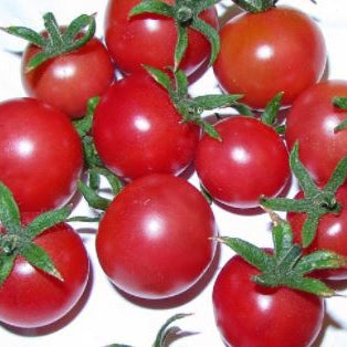 Organic 'Napa Rose' Tomato