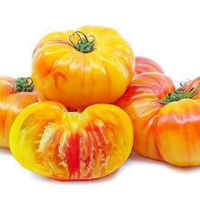Organic 'Oaxacan Jewel Beefsteak' Tomato