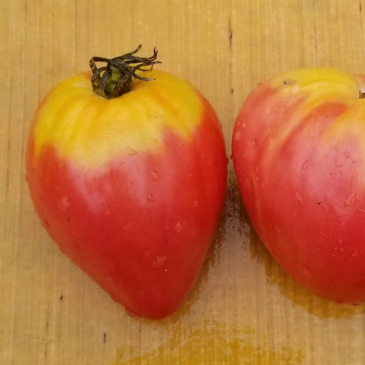 Tomate 'Oxheart Mix' bio