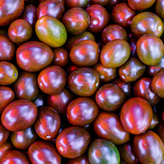 Visuel principal associé à Tomate 'Black Plum', semences offertes par Cutleaf Seed. Cette image accompagne la fiche pour relier clairement le produit à son emballage ou à la culture présentée. Elle complète les renseignements de semis, de culture et de récolte, sans remplacer les indications propres au lot ni les conseils détaillés figurant sur le sachet.