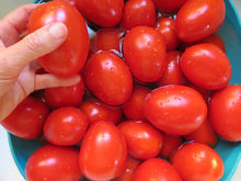 'Rio Grande' Tomato