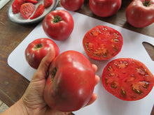Tomate 'Rosella Purple'