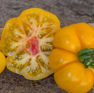 Organic 'Rumi Banjan' Tomato