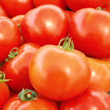 Tomate 'Rutgers' bio