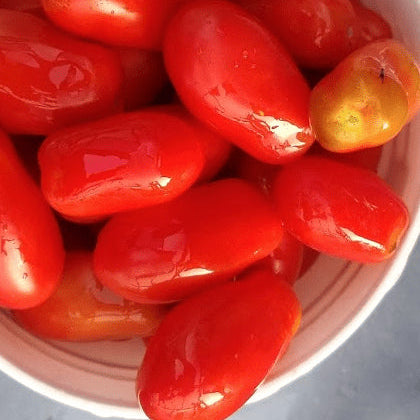 Organic 'San Marzano' Tomato