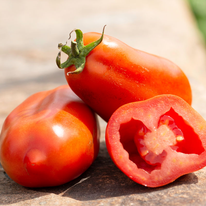 Tomate Italienne San Marzano. Tomates rouges allongées, dont une moitié montre la chair. Le cadrage permet de voir les formes, les couleurs et les détails du sujet représenté. Les contours se détachent du fond de l’image, avec des différences de teinte et de texture visibles sur les surfaces. Cette vue accompagne la présentation du produit dans la boutique.