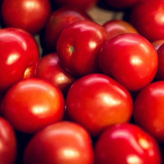 Photo de Tomate 'Siberia'. La couleur caractéristique est : rouge. Le visuel permet d'observer les contours, les teintes et la disposition des éléments présentés. Les détails de forme et les contrastes donnent un aperçu de l'apparence de cette plante ou de sa récolte. Cette photographie accompagne la variété nommée afin de l'identifier dans la sélection de semences.