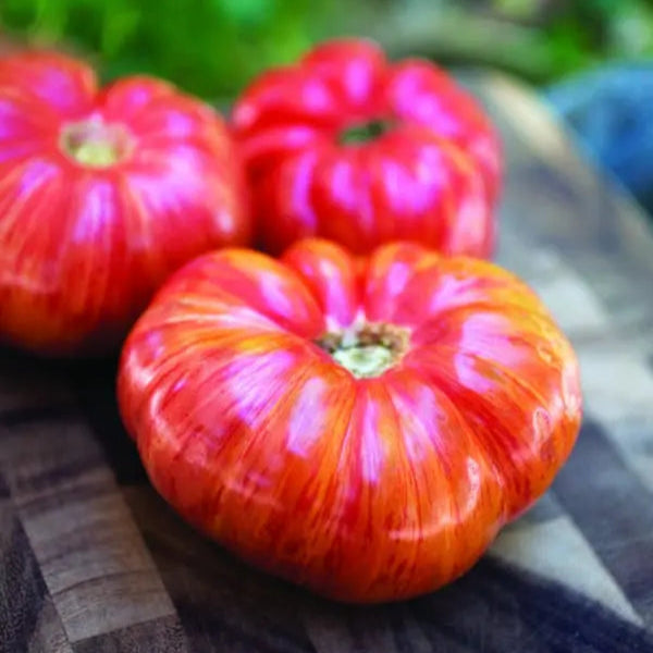Photo de Tomate 'Stuffer Striped'. La couleur caractéristique est : rouge. Le visuel permet d'observer les contours, les teintes et la disposition des éléments présentés. Les détails de forme et les contrastes donnent un aperçu de l'apparence de cette plante ou de sa récolte. Cette photographie accompagne la variété nommée afin de l'identifier dans la sélection de semences.