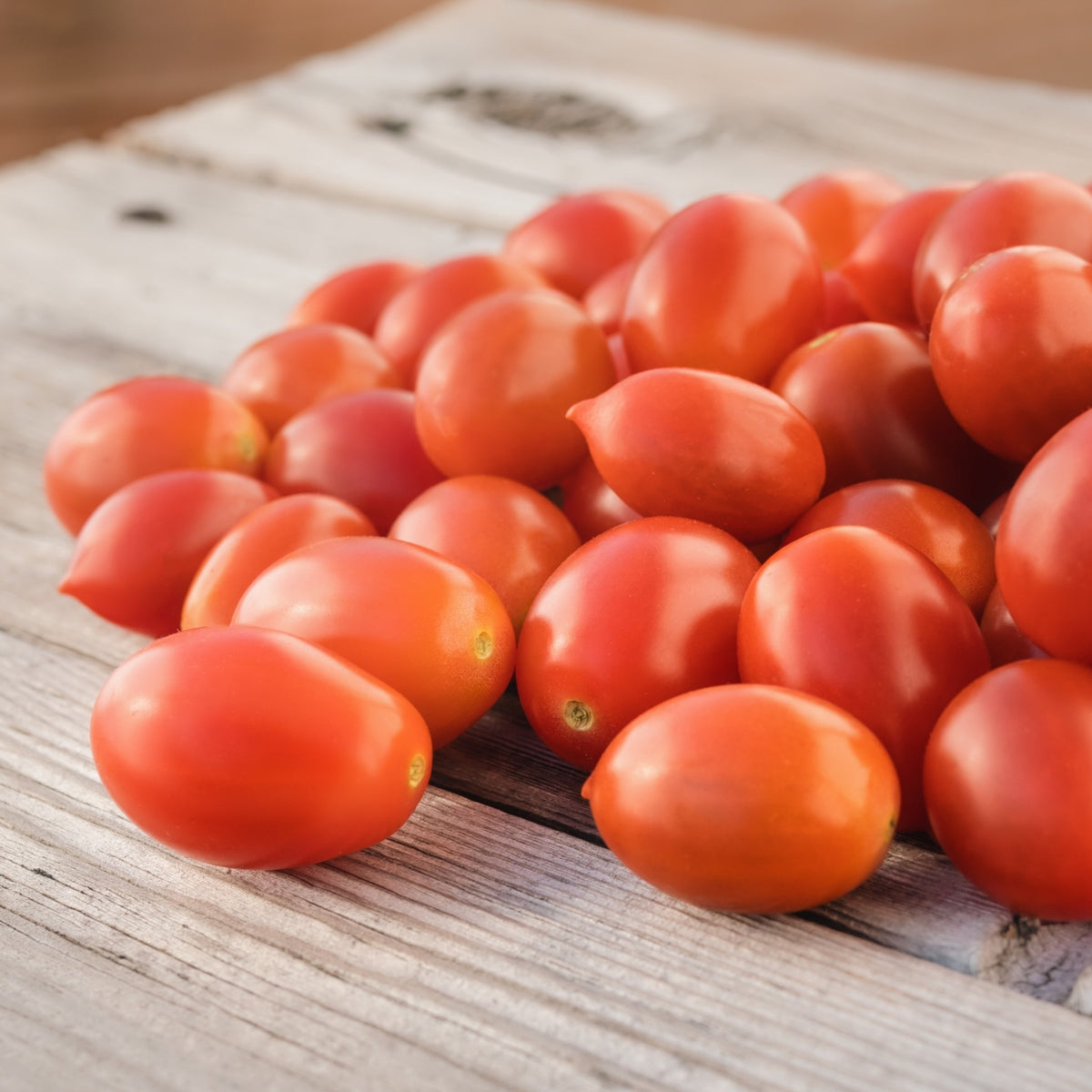 Photo de Tomate ‘Sugary’ F1. La couleur caractéristique est : rose. Le visuel permet d’observer les contours, les teintes et la disposition des éléments présentés. Les détails de forme et les contrastes donnent un aperçu de l’apparence de cette plante ou de sa récolte. Cette photographie accompagne la variété nommée afin de l’identifier dans la sélection de semences.