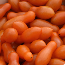 Tomato Sun Dipper F1