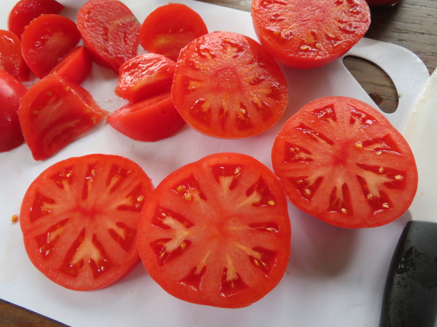 Tomate 'Tastywine'